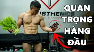 Thực Phẩm Bổ Sung Quan Trọng HÀNG ĐẦU Đa Số Chúng Ta Thiếu | Tăng Testosterone Tự Do & Tăng Sức Khỏe