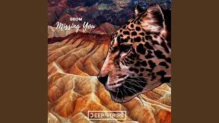 Missing You (Original Mix)