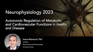 Autonomic Regulation of Metabolic and Cardiovascular Functions in Health and Disease