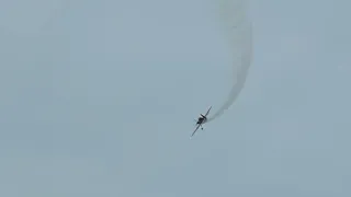 Halcones en Viña del Mar.