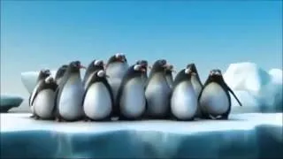 Penguins vs Shark
