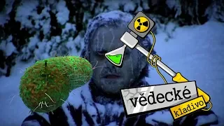 Jak zima způsobuje nemoce? - Vědecké kladivo