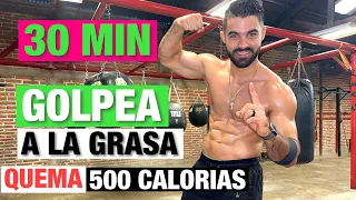 Entrenamiento Hiit Golpea A la Grasa (30 MIN) Ejercicios en casa Sin Equipo