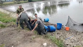 Ловля карпа и амура с озера