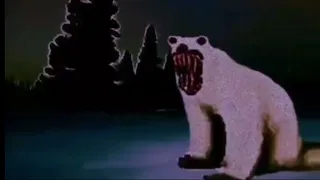 Белый медведь 2026 - Откуда мем?