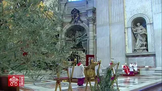 Pope Francis' Palm Sunday Mass in 1 minute