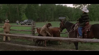 The Horse Whisperer - going to Montana