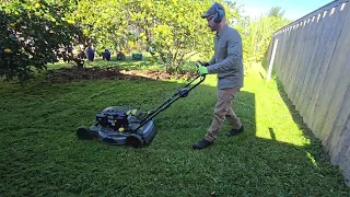 I mowed this for FREE - Satisfying Lawn Tidy Up!!