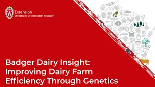 Badger Dairy Insight: Improving Dairy Farm Efficiency Through Genetics