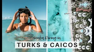 TURKS & CAICOS VLOG | Scuba Diving With Sharks & The Most Beautiful Beaches!