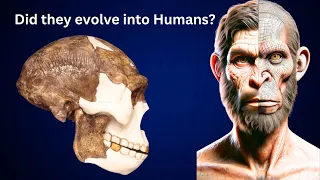 Did Homo Erectus Really Evolve into Modern Humans | Studies and Models Documented