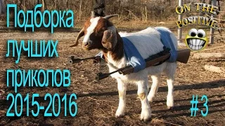 ПОДБОРКА ЛУЧШИХ ПРИКОЛОВ #3 2015 2016 FUNNY FAILS COMPLITATION