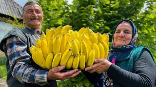 Very Tasty And Simple Recipe For Banana Cake Cooked In The Village