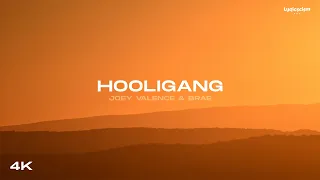 HOOLIGANG - Joey Valence & Brae (Lyrics)