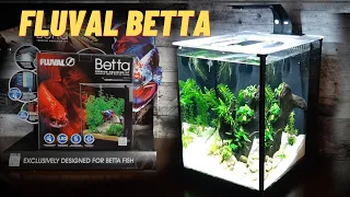 Fluval Betta Aquarium Aquascape