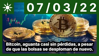 Bitcoin, aguanta casi sin pérdidas, a pesar de que las bolsas se desploman de nuevo.