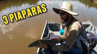 PIAPARAS VOADERIAS Rio Mogi Guaçu