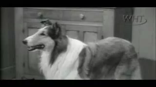 Lassie 03x07 The Fish Story