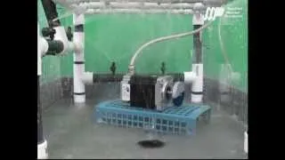 IP65 Step Motor - Rain Simulation Test