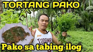 NANGUHA NG PAKO SA TABING ILOG | TORTANG PAKO | BUHAY PROBINSYA | Richard Cabile Vlog