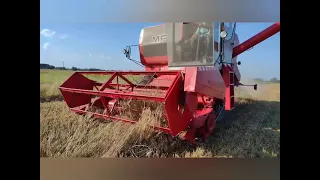 Odcinek specjalny ( Żniwa Pszenżyta ) -- Ursus C-360,Massey Ferguson 3065 S  i Massey Ferguson 20