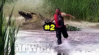 5 CROCODILE ATTACK CAUGHT ON CAMERA!