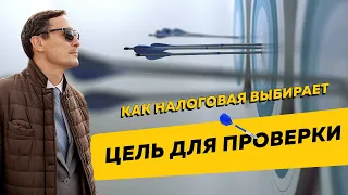 Как налоговая инспекция выбирает налогоплательщика для проверки или допроса. Бизнес и налоги