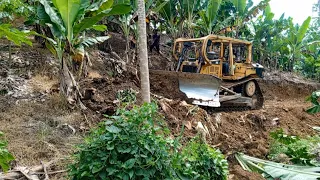very good job Bulldozer D6r Xl cutting the hill to make a new road in the banana plantation