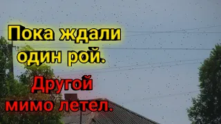 роеловство 2022 продолжается /роеловство / пасека в деревне