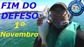 FIM do DEFESO da LAGUNA de ARARUAMA, 1º de NOVEMBRO, PESCARIA DE CAIAQUE, MUITO ROBALO PEVA no KAYAK