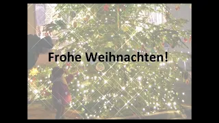 Der Wunschbaum - Ein Weihnachtsgedicht