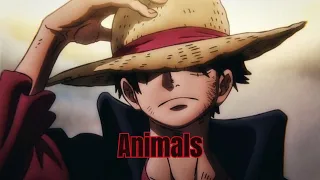 One Piece- Animals [AMV/EDIT!]