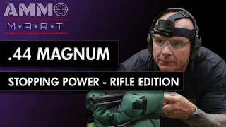 Stopping Power of .44 Remington Magnum - Rifle Edition