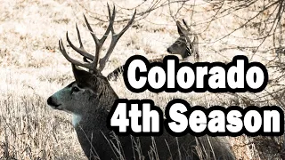 Colorado Mule Deer Hunt x2 | Rifle 4th Season | 2020