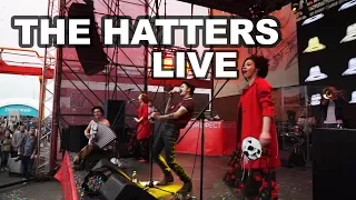 The Hatters live Санкт-Петерубрг:  Видфест 2017