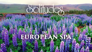 Dan Gibson’s Solitudes - Awakening Senses | European Spa