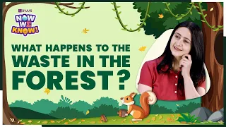 Why Is There No Waste In A Forest? | Forest Our Lifeline Class 7 |  BYJU'S Now We Know