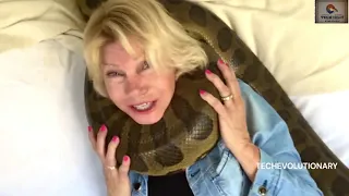 What would happen If You Were Swallowed by an Anaconda?