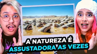 Isso é impossível! Momentos na Natureza Que Acontecem uma Vez em um Bilhão