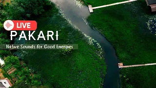 PAKARI- NATIVE SOUNDS FOR GOOD ENERGIES