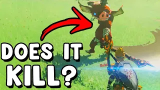 I Busted 15 Myths In Zelda Tears Of The Kingdom #11