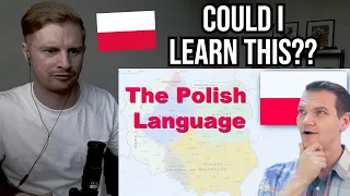 Reaction To Polish Language