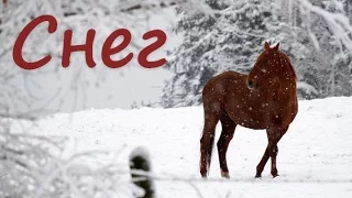 "Snow, snow, snow", beautiful New Year's song.