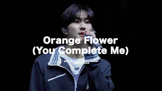 [4K] 240129 엔하이픈 정원 ’Orange Flower (You Complete Me)’ 직캠 - ENHYPEN FANSIGN EVENT IN MACAU