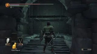 So that's how splatter works - Dark Souls 3