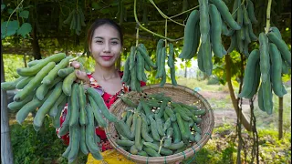 Fresh fruit in my garden and cook recipe - Polin lifestyle