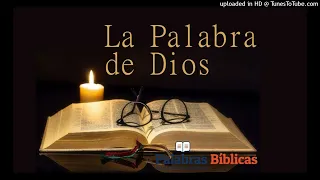 Palabra de Dios 03.06.24