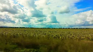 "Жизнь в красках" Поездка на родник.😎