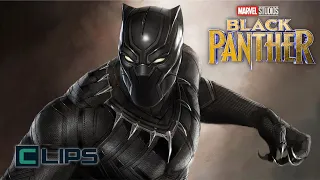 MCU Fan Launches Black Panther 2 Petition to Recast T'Challa in Honor of Chadwick Boseman