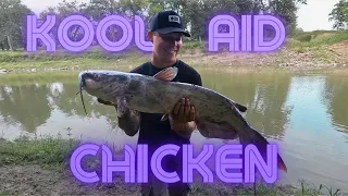 KOOL-AID CHICKEN KEEPS ME CATCHING BIG CATFISH!!!